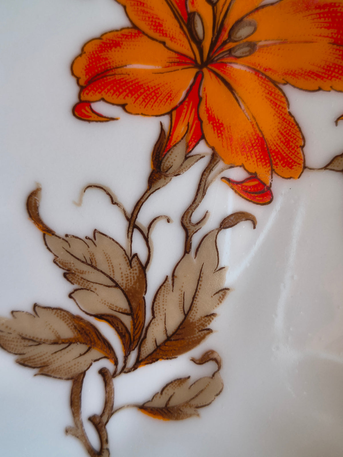 Lot de 4 assiettes à dessert Bavaria fleurs de lys orange et marron