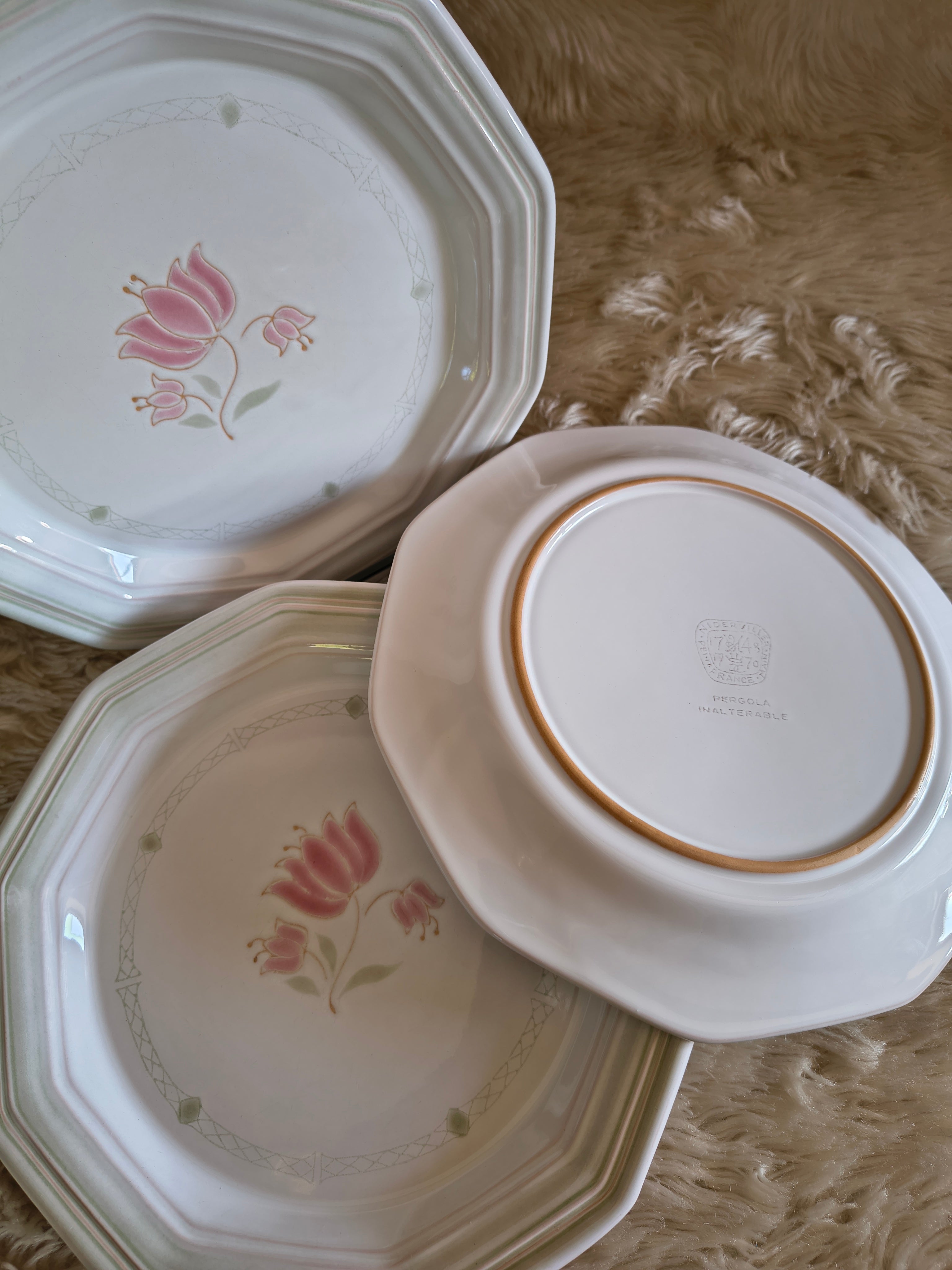Lot de 6 assiettes plates Niderviller Pergola décor fleurs pastel