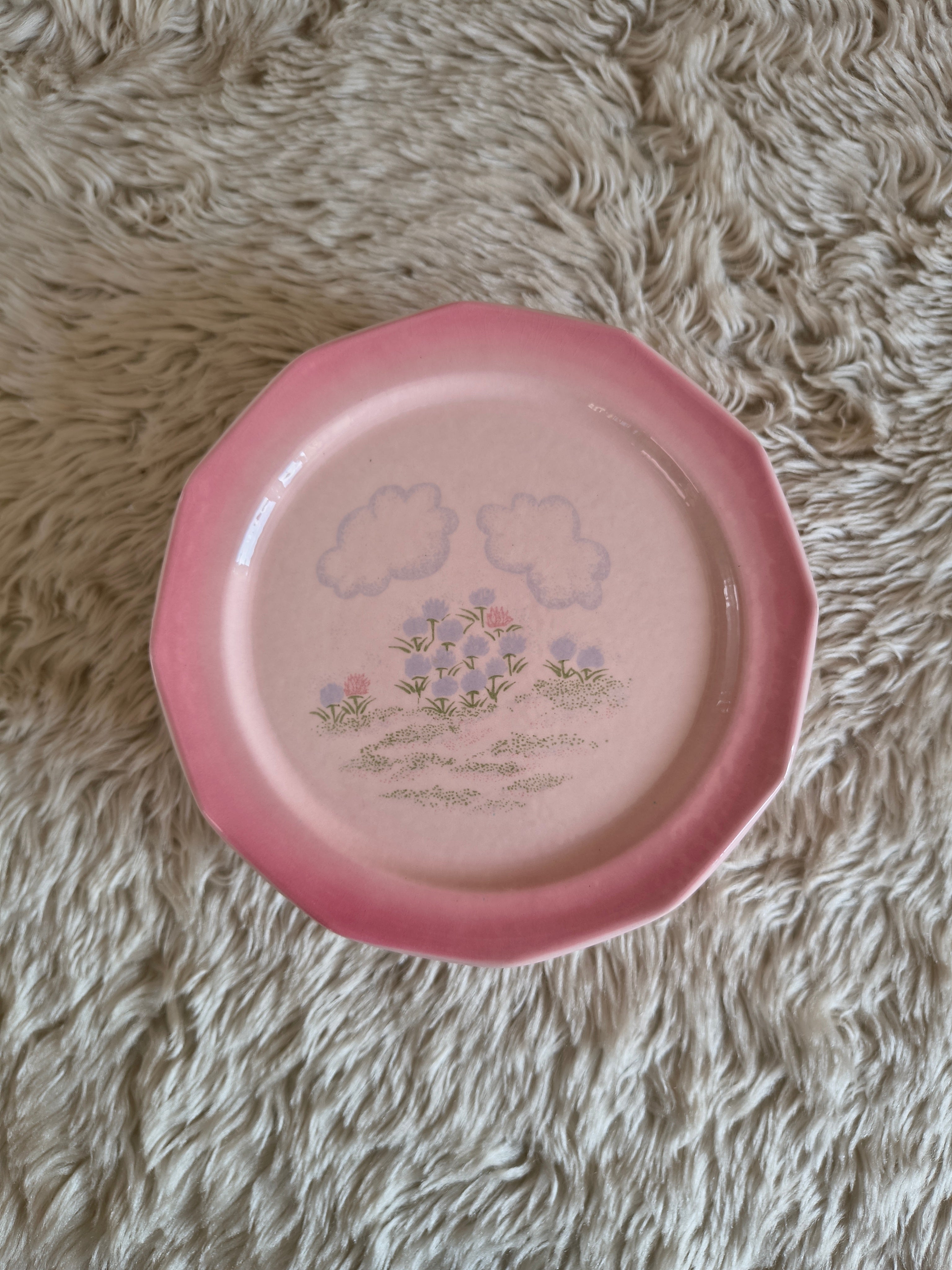Lot de 6 assiettes à dessert rose et paysage pastel