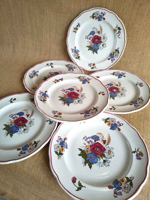 Lot de 6 assiettes plates en porcelaine Pyroblan de Sarreguemines modèle Agreste