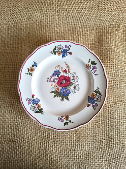 Lot de 6 assiettes plates en porcelaine Pyroblan de Sarreguemines modèle Agreste