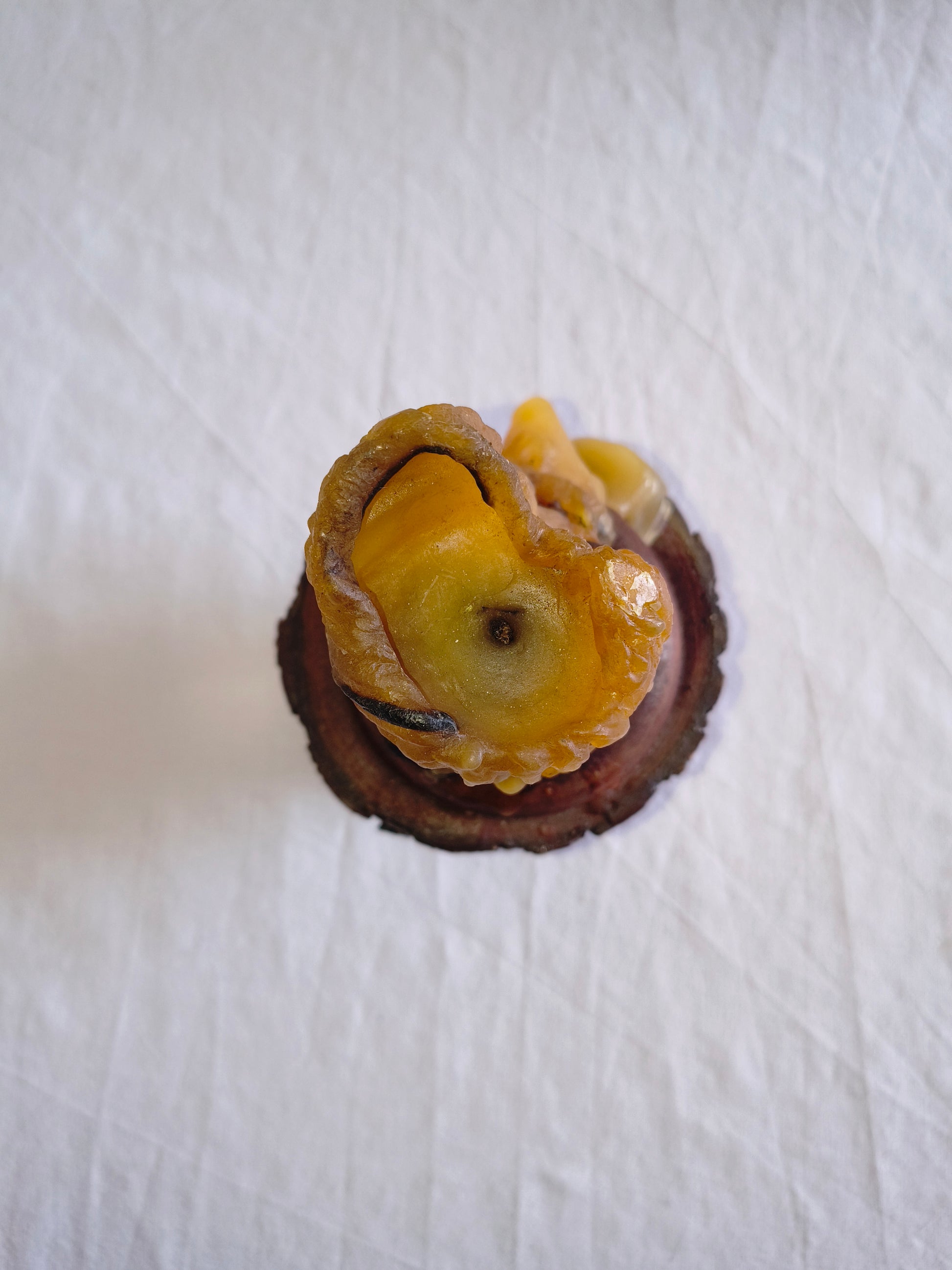 Bougeoir rustique en bois brut et sa bougie