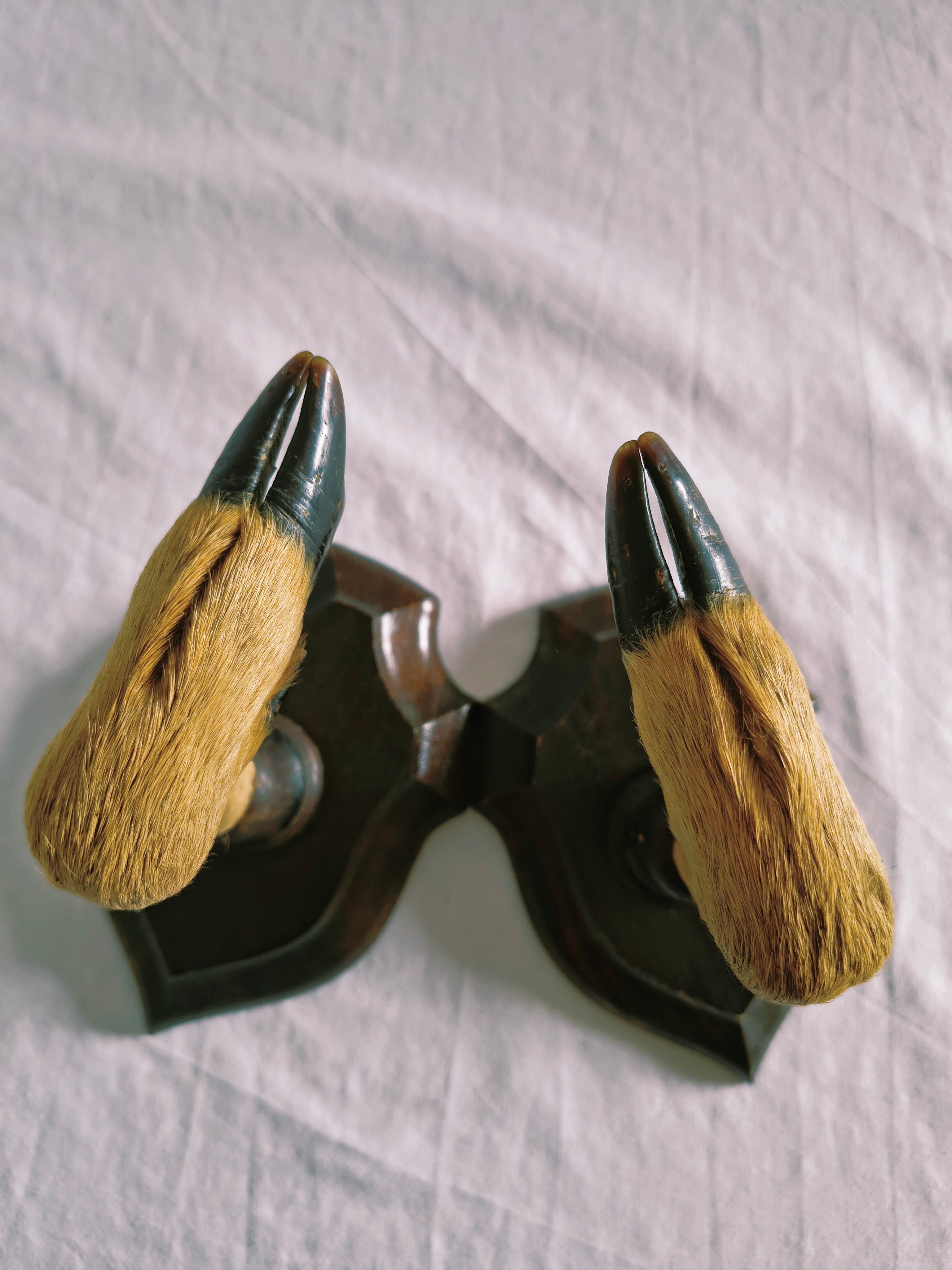 Patères pattes de chevreuil