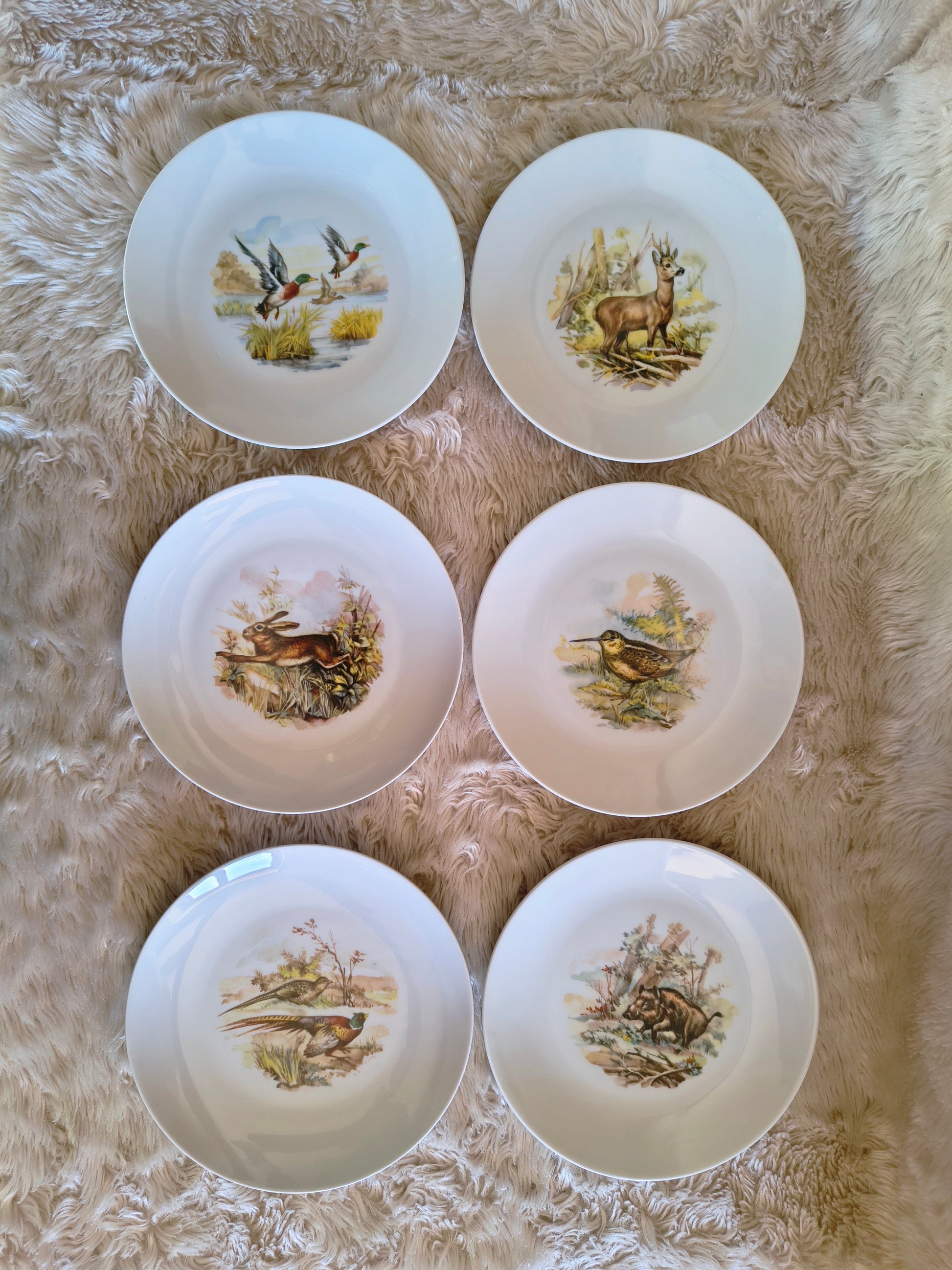 Service d'assiettes en porcelaine décor d'animaux des bois
