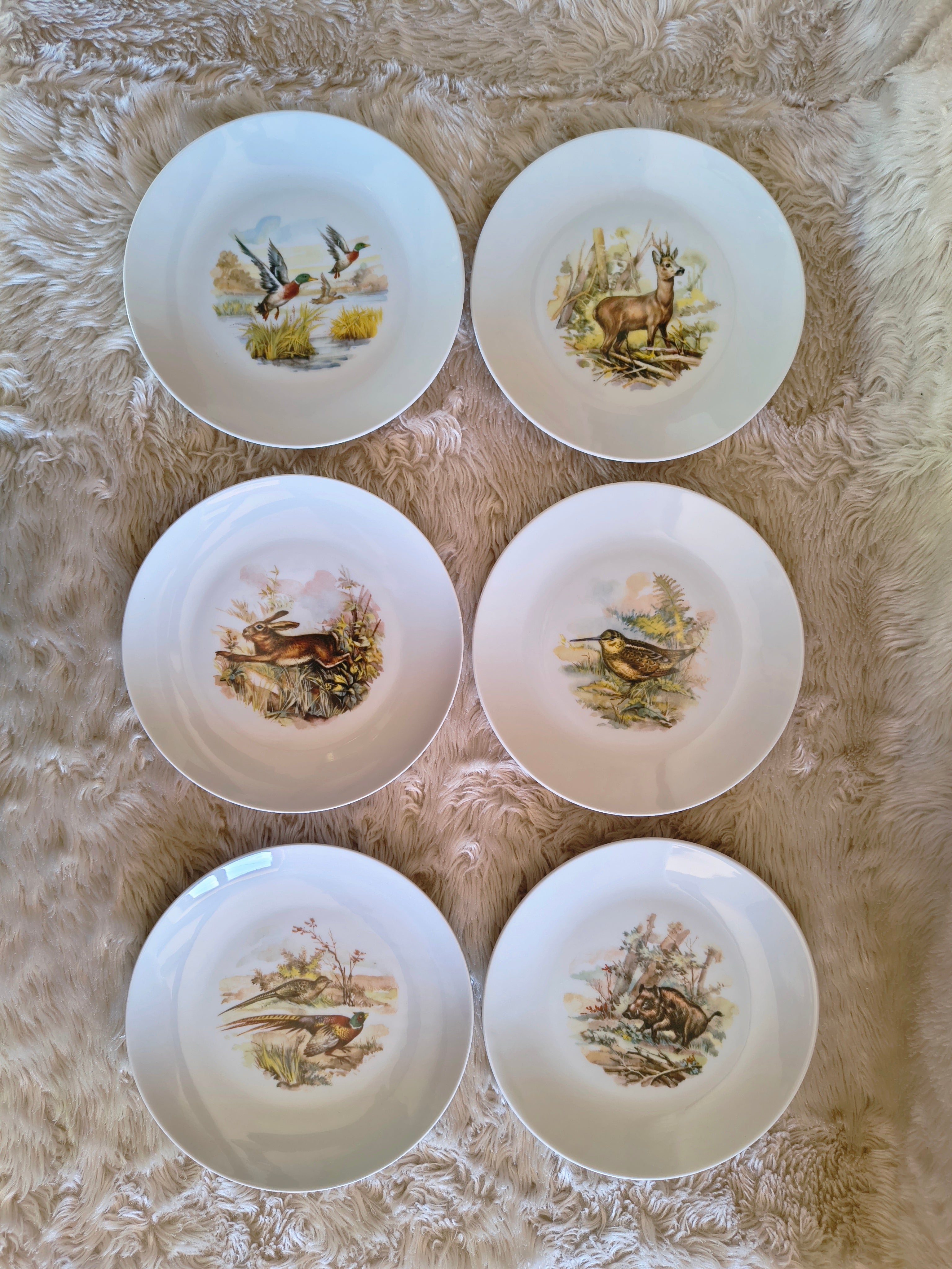 Service d'assiettes en porcelaine décor d'animaux des bois