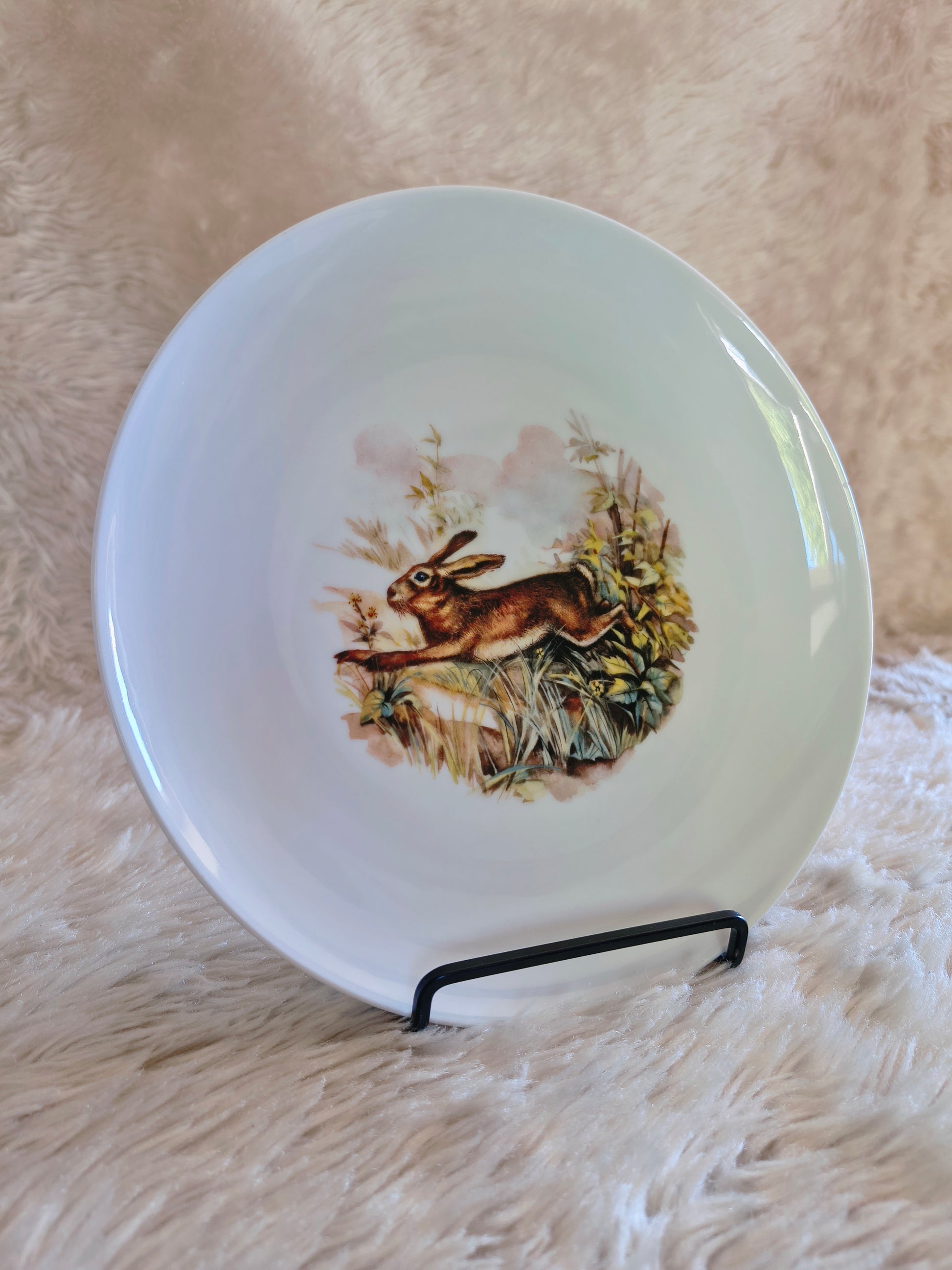 Service d'assiettes en porcelaine décor d'animaux des bois
