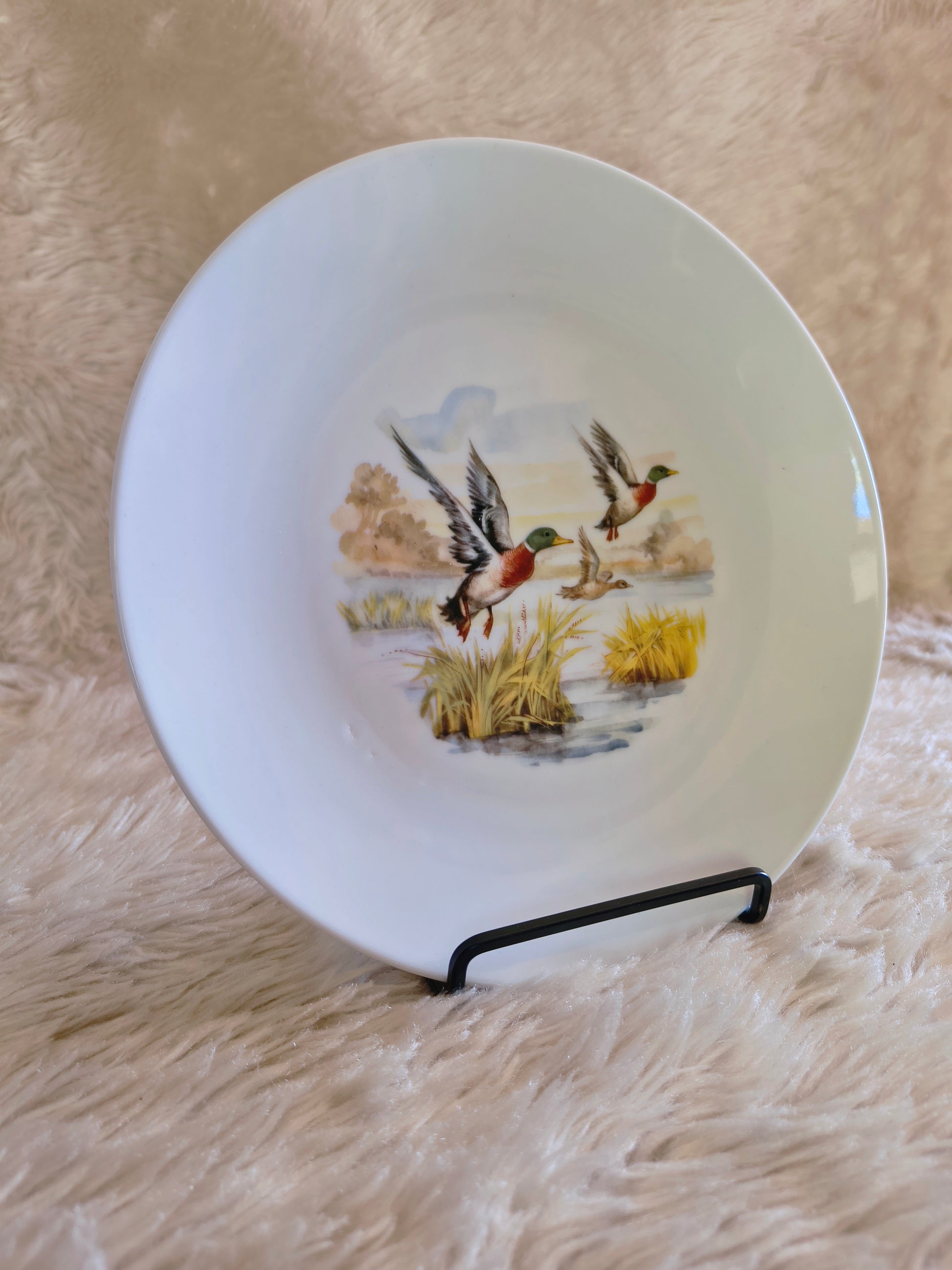 Service d'assiettes en porcelaine décor d'animaux des bois