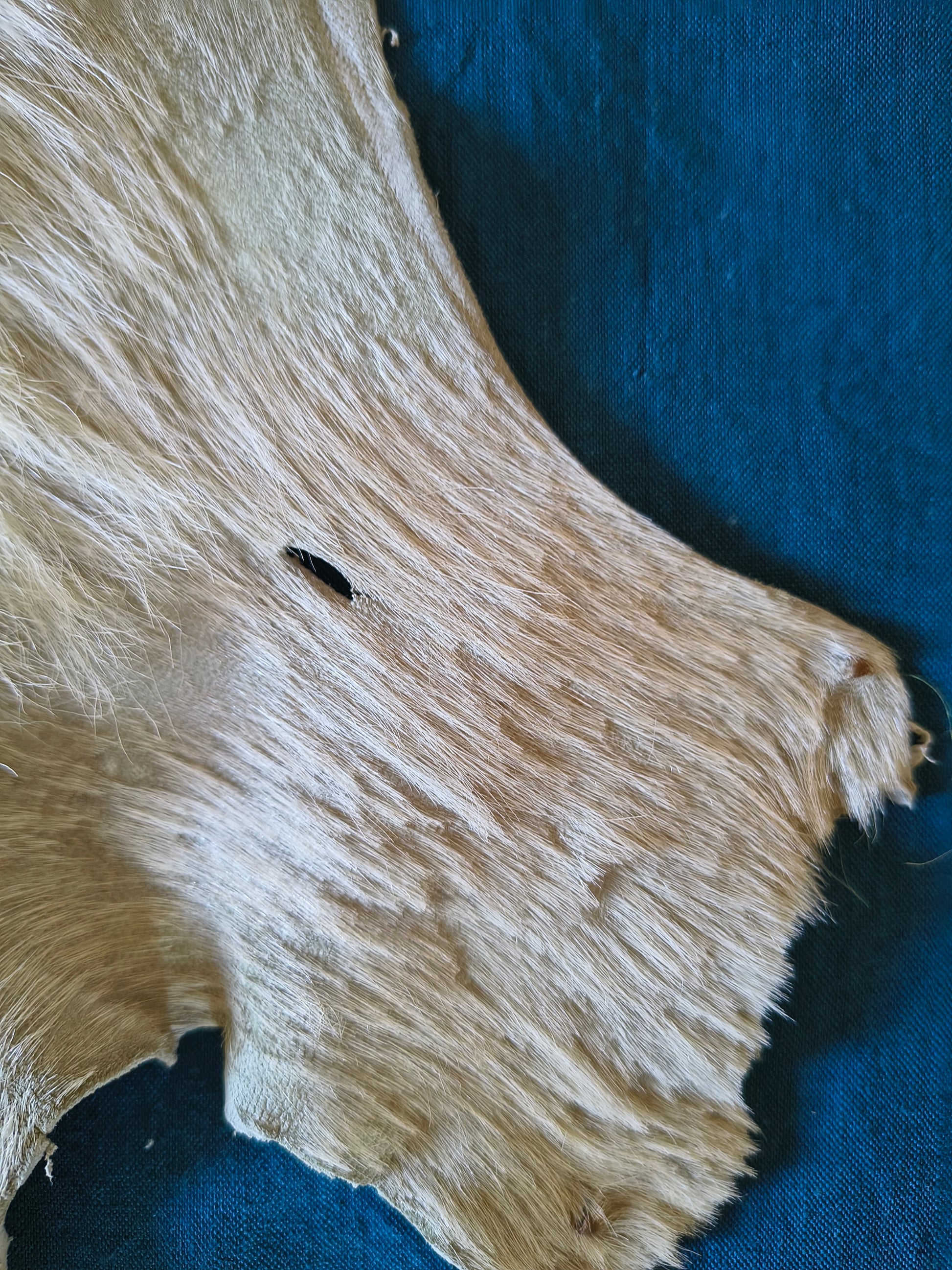Petit tapis en peau de chevreau