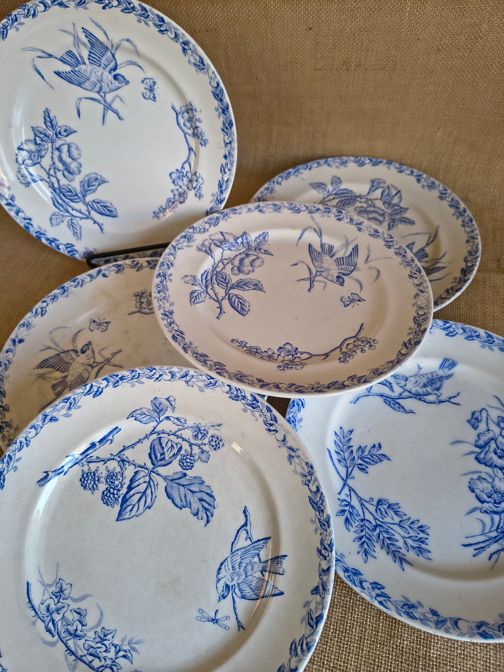 Assiettes Terre de Fer décor oiseaux fleurs et végétaux couleur bleu cyan