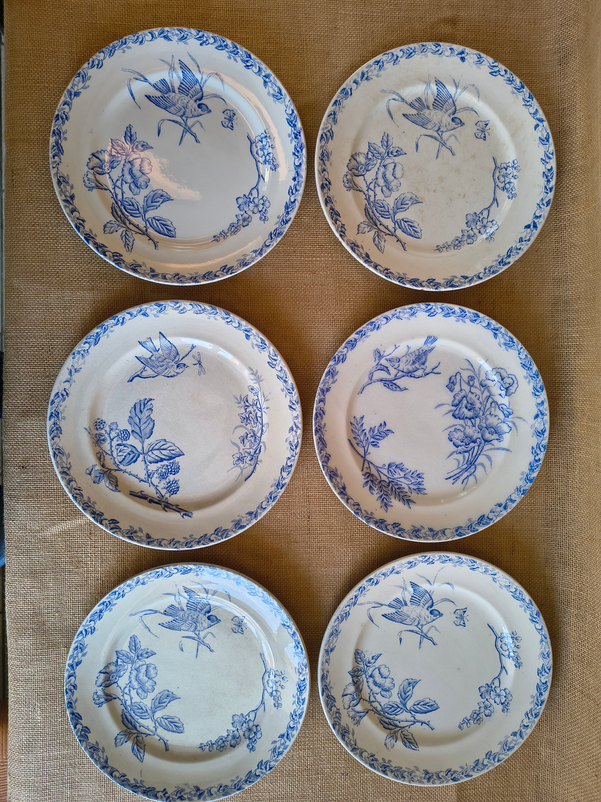 Assiettes Terre de Fer décor oiseaux fleurs et végétaux couleur bleu cyan