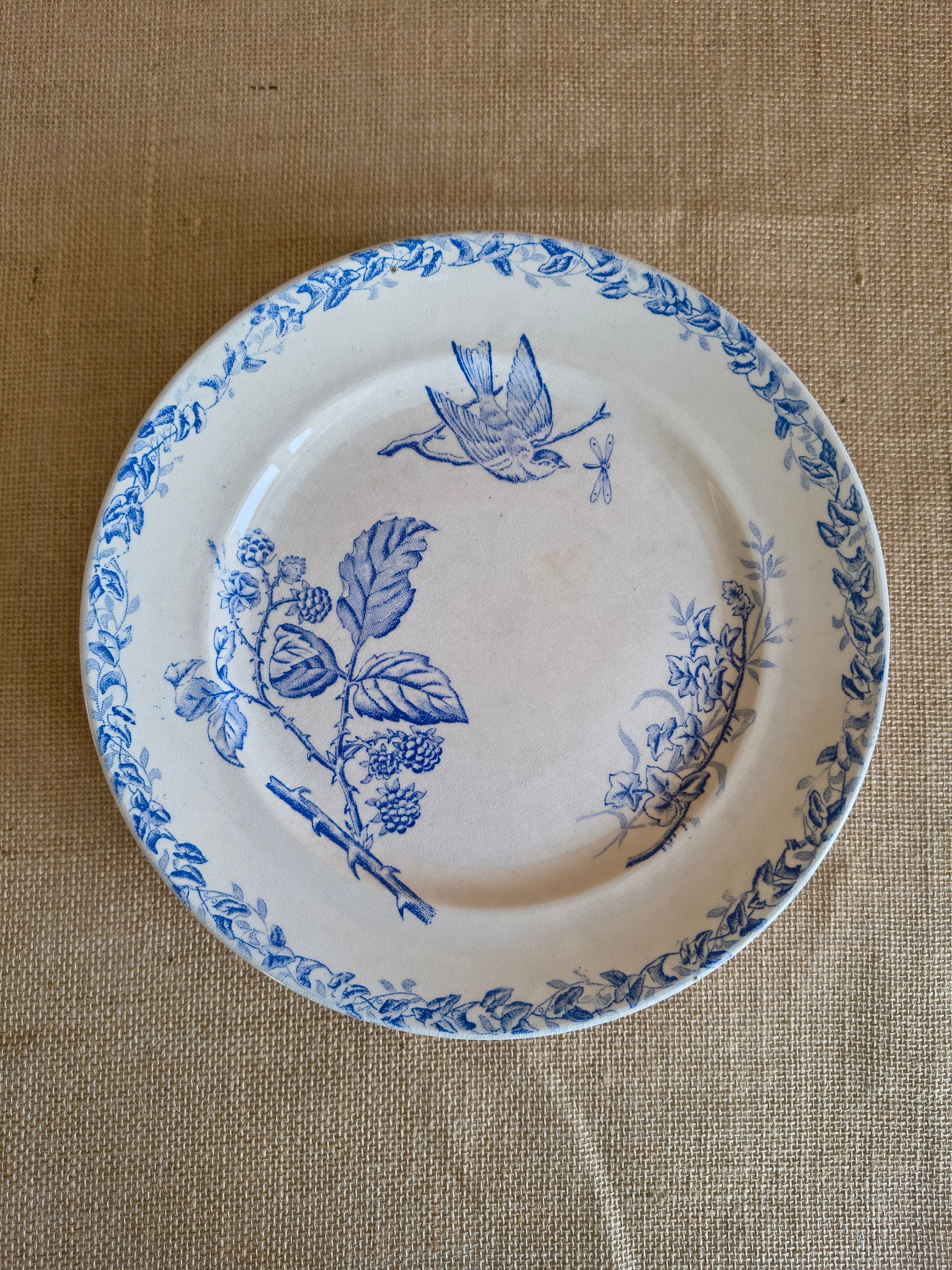 Assiettes Terre de Fer décor oiseaux fleurs et végétaux couleur bleu cyan