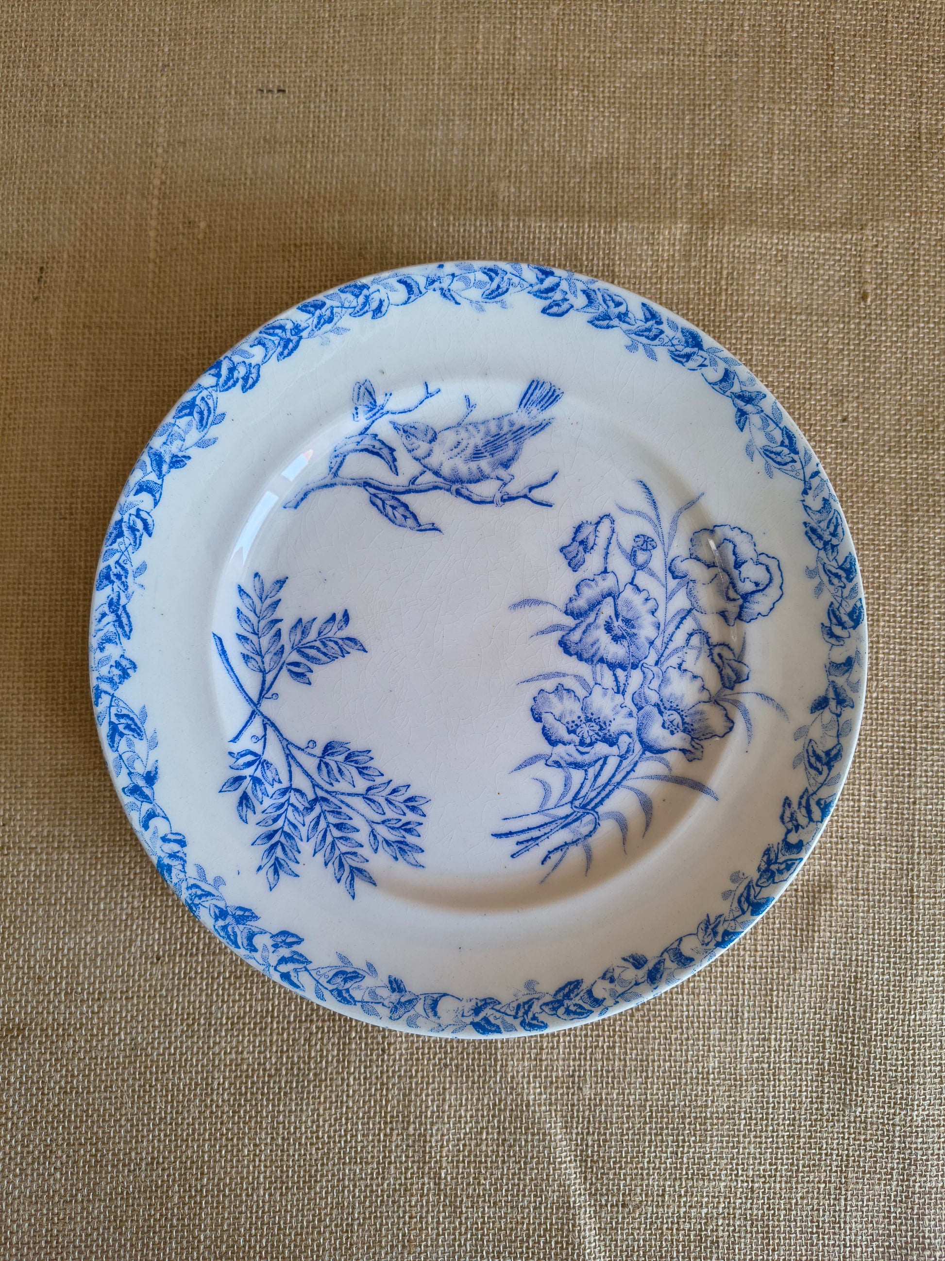 Assiettes Terre de Fer décor oiseaux fleurs et végétaux couleur bleu cyan