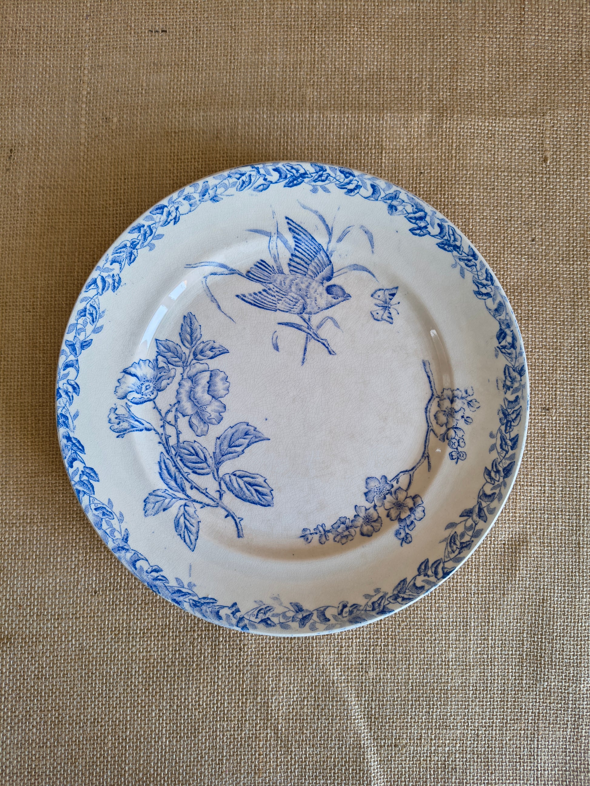 Assiettes Terre de Fer décor oiseaux fleurs et végétaux couleur bleu cyan