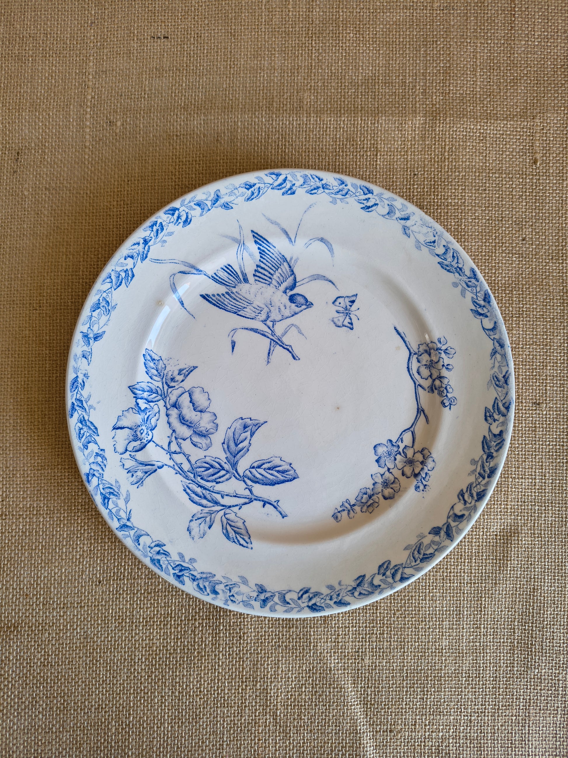 Assiettes Terre de Fer décor oiseaux fleurs et végétaux couleur bleu cyan