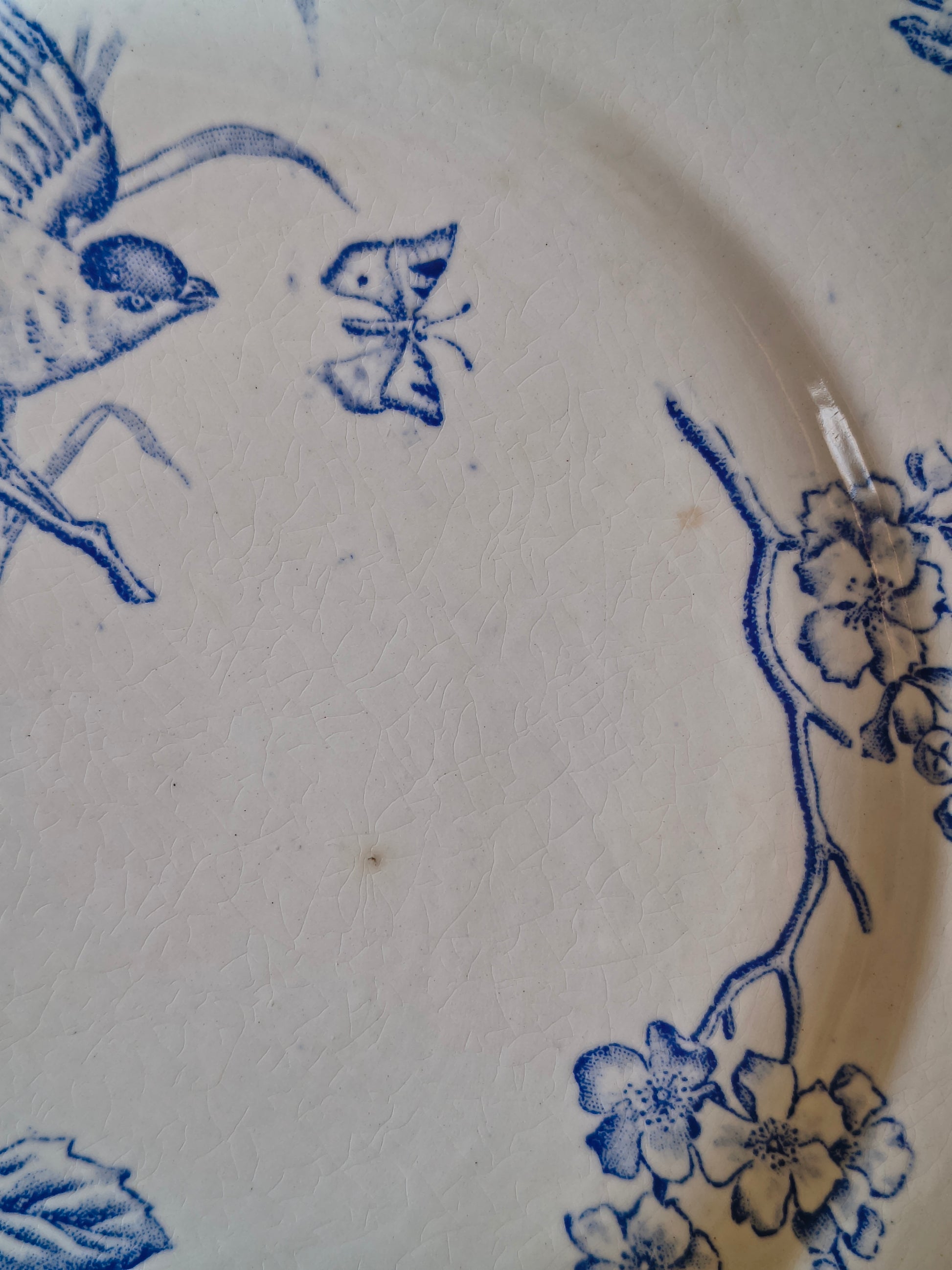 Assiettes Terre de Fer décor oiseaux fleurs et végétaux couleur bleu cyan