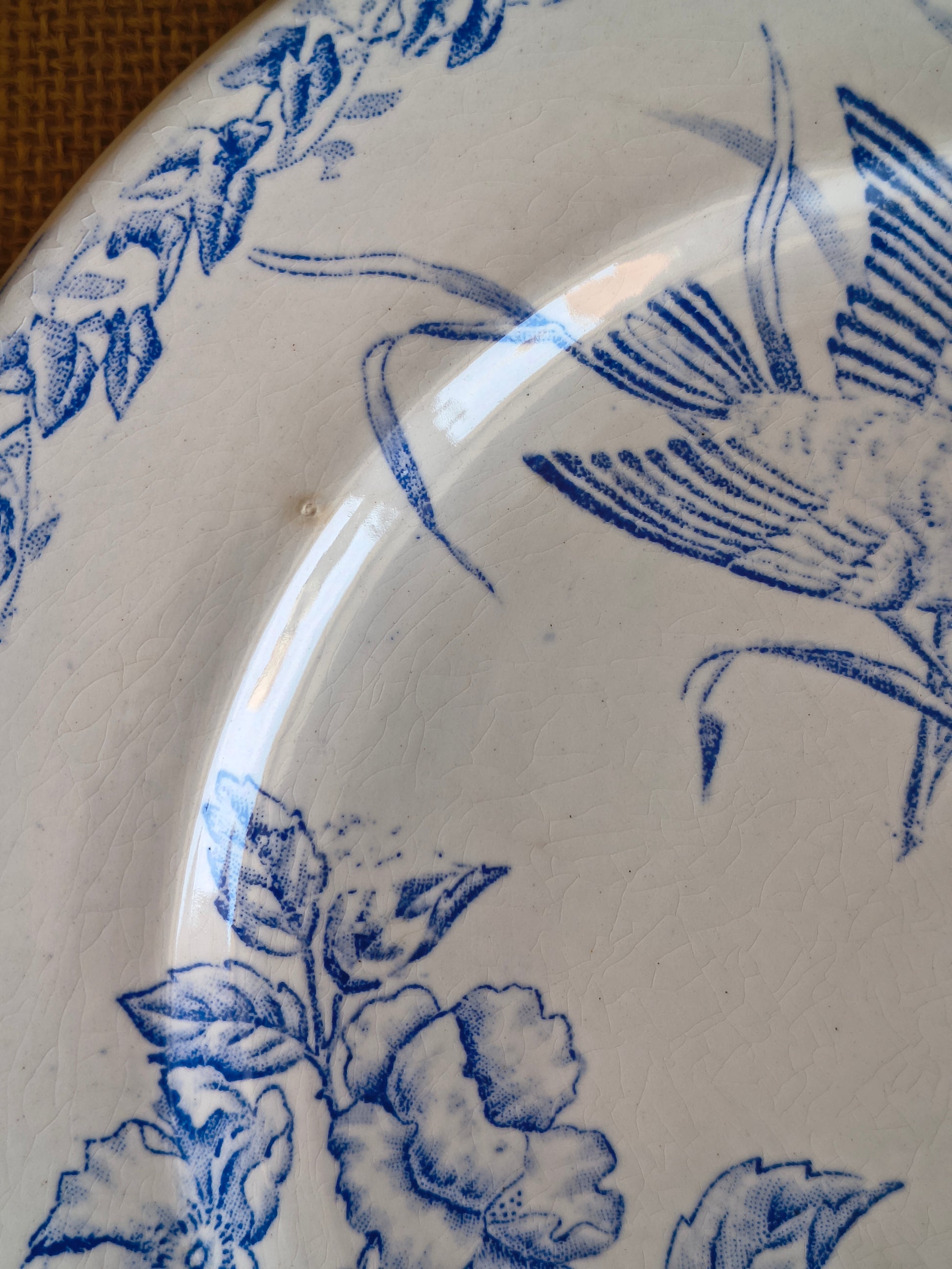 Assiettes Terre de Fer décor oiseaux fleurs et végétaux couleur bleu cyan