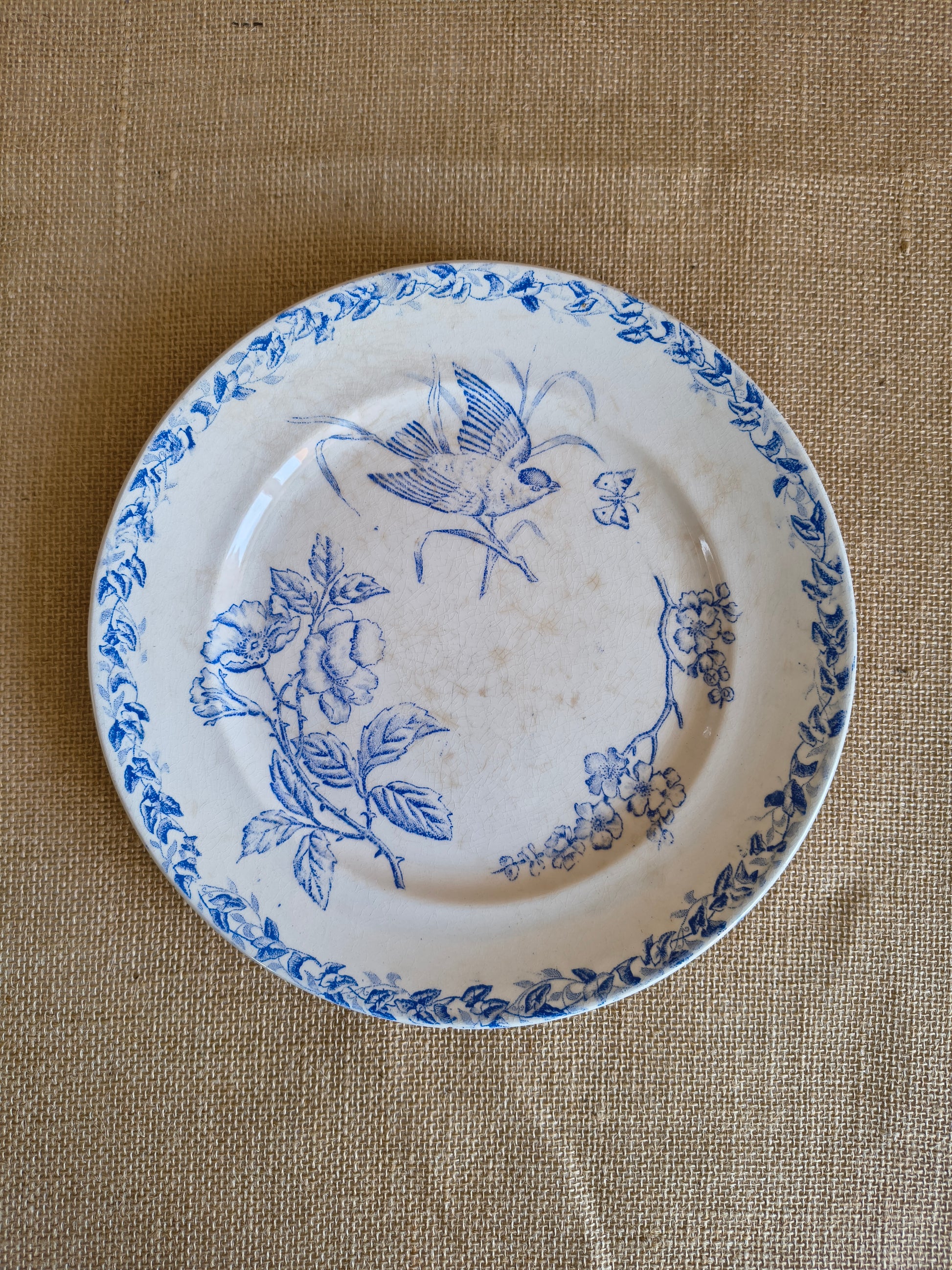 Assiettes Terre de Fer décor oiseaux fleurs et végétaux couleur bleu cyan