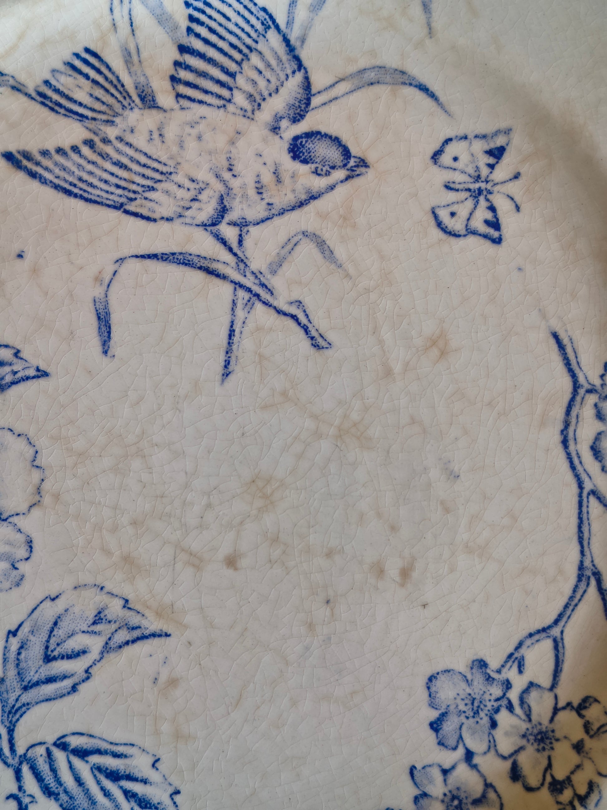 Assiettes Terre de Fer décor oiseaux fleurs et végétaux couleur bleu cyan