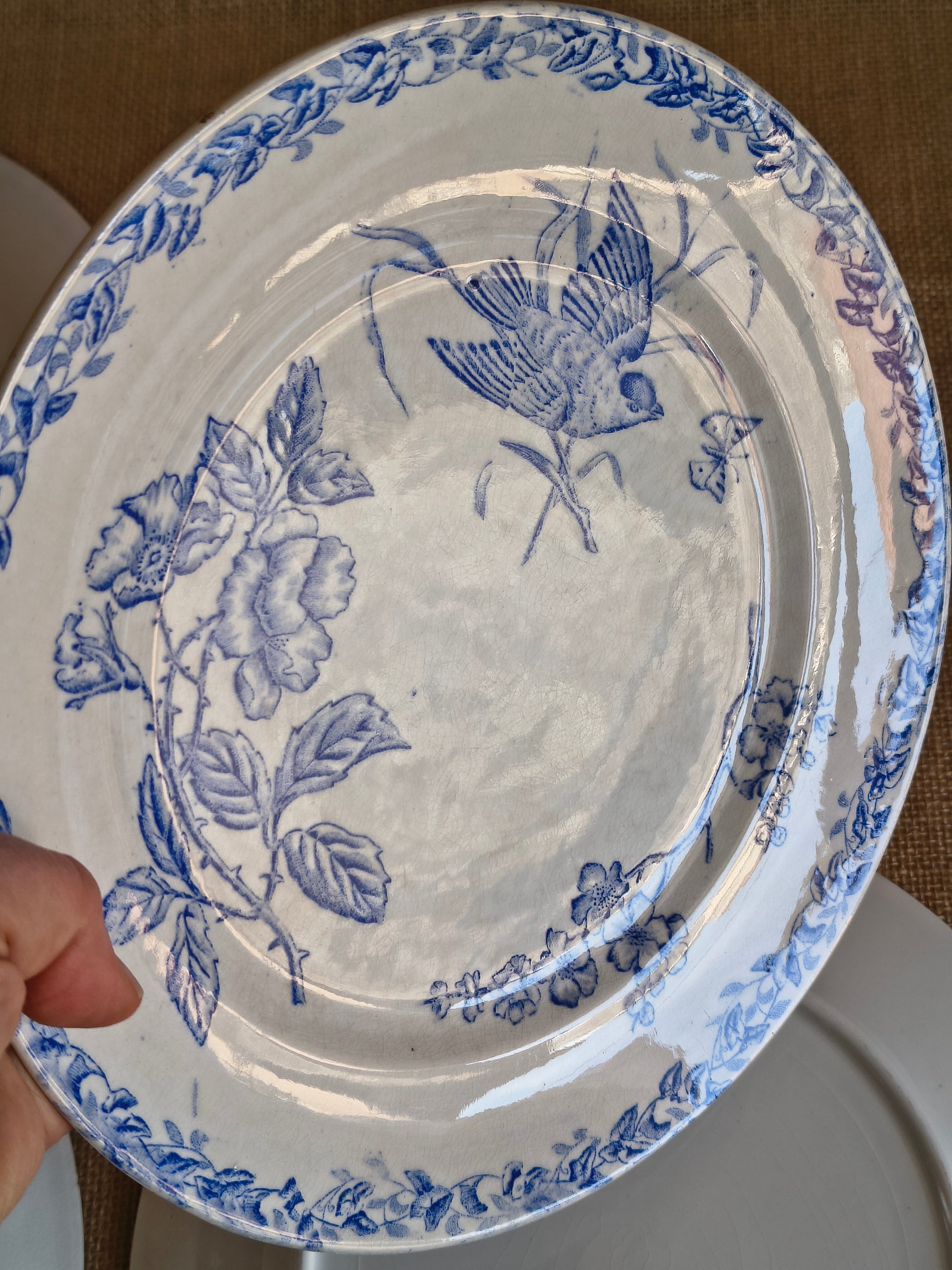 Assiettes Terre de Fer décor oiseaux fleurs et végétaux couleur bleu cyan