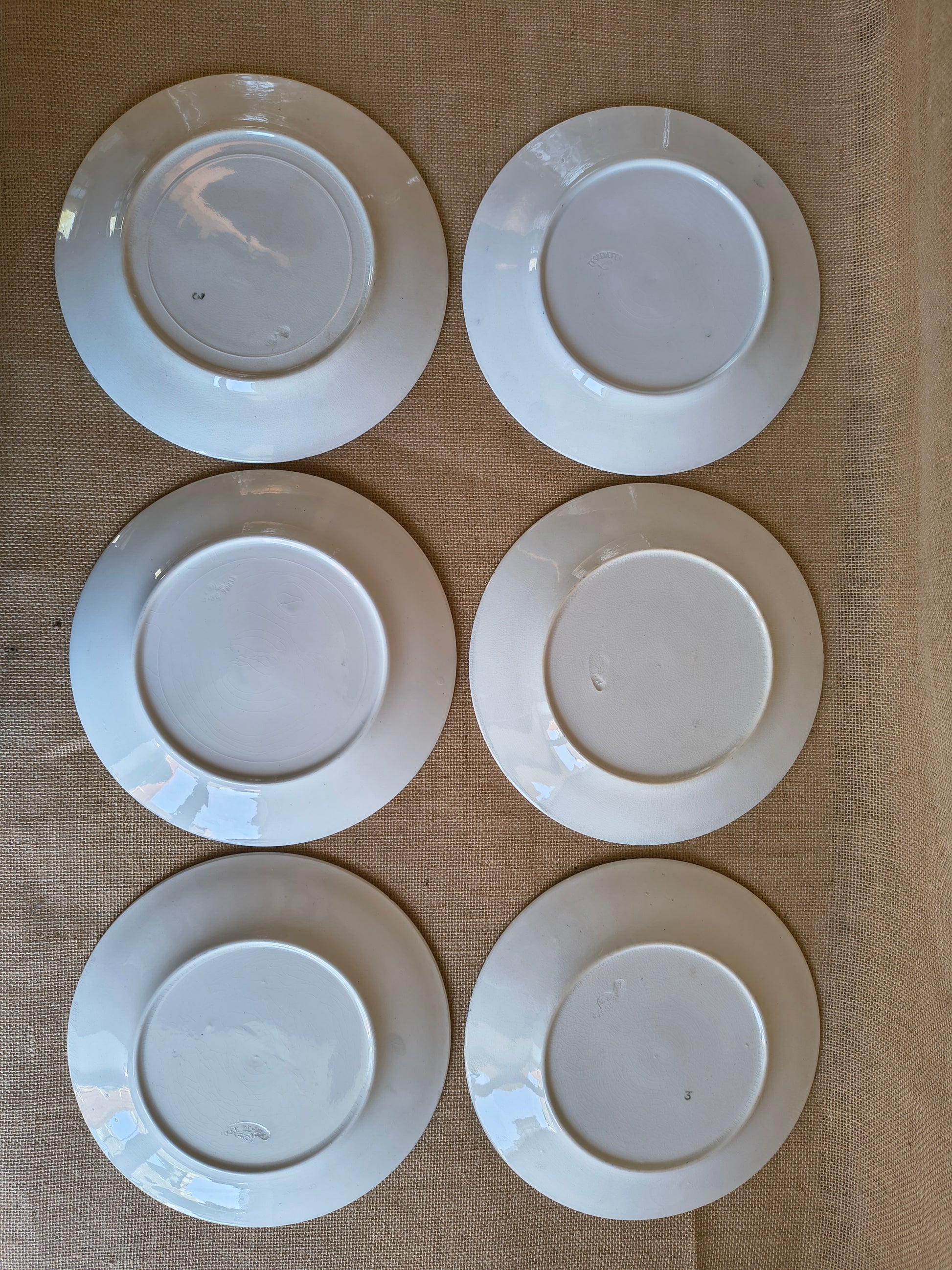 Assiettes Terre de Fer décor oiseaux fleurs et végétaux couleur bleu cyan