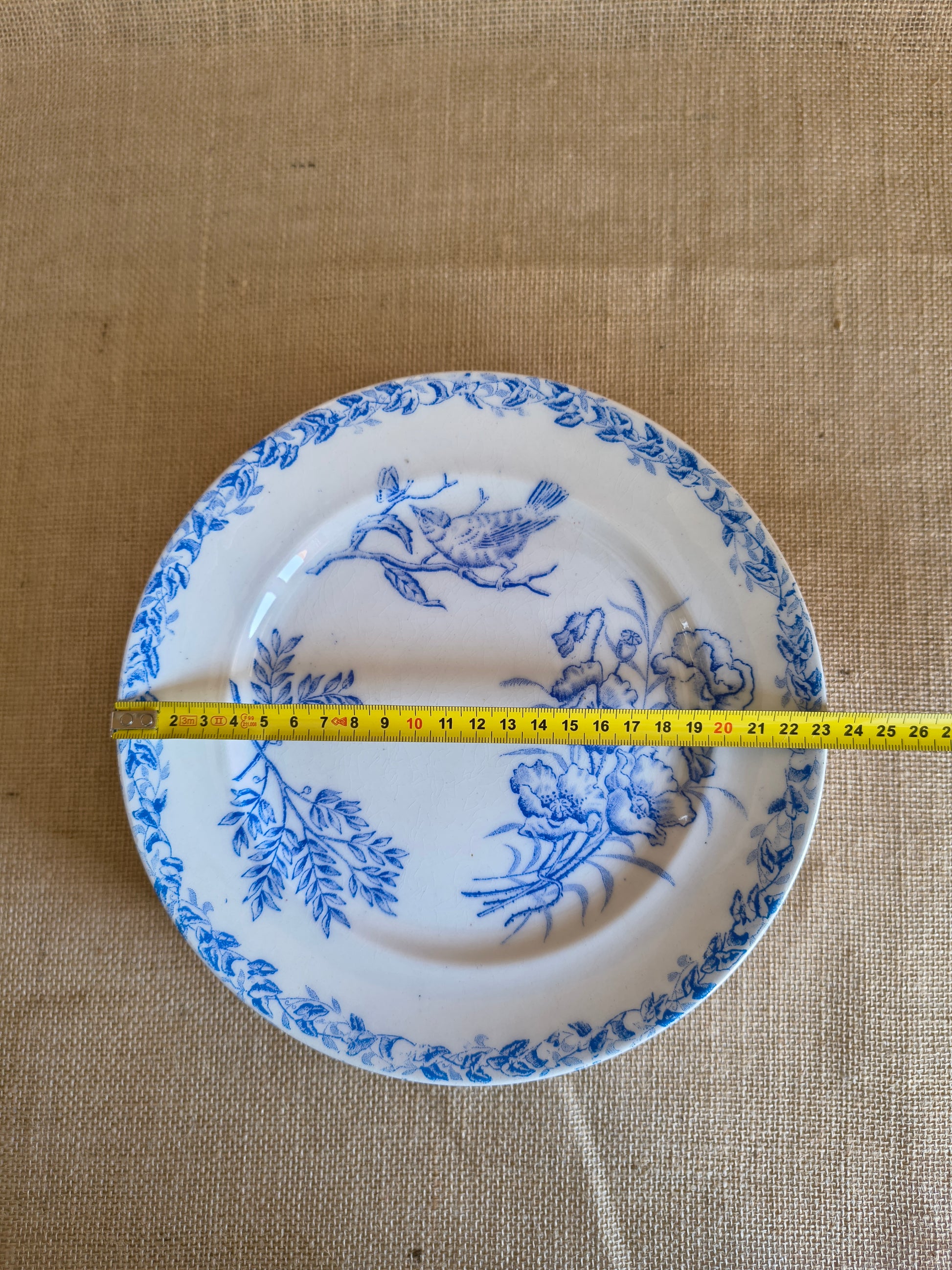 Assiettes Terre de Fer décor oiseaux fleurs et végétaux couleur bleu cyan