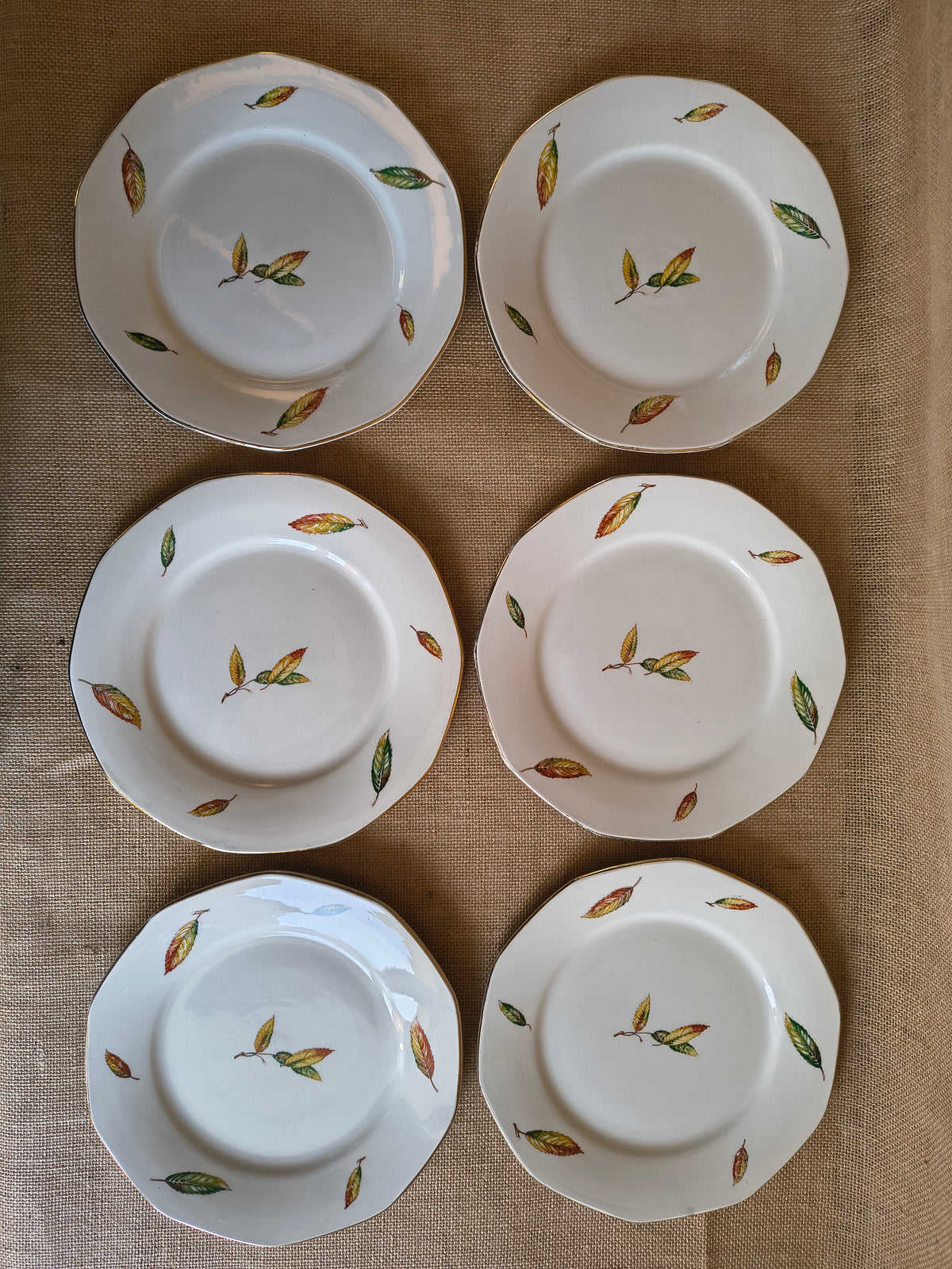 Assiettes plates Digoin Sarreguemines Nemours décor feuilles châtaigner