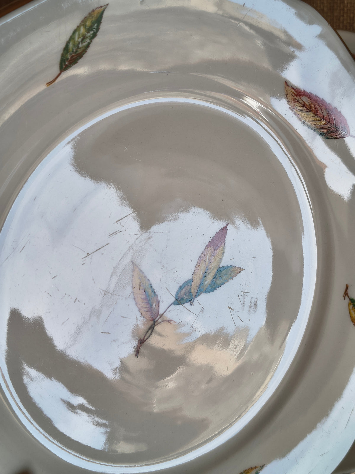 Assiettes plates Digoin Sarreguemines Nemours décor feuilles châtaigner
