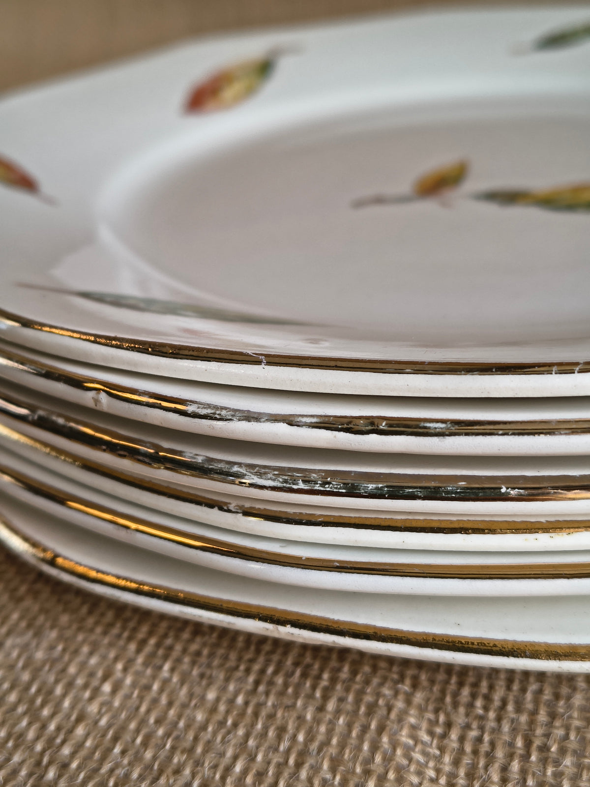 Assiettes plates Digoin Sarreguemines Nemours décor feuilles châtaigner