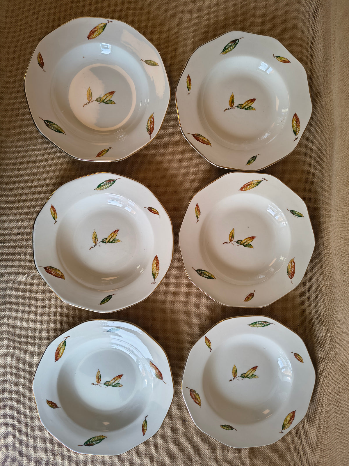 Assiettes creuses Digoin Sarreguemines Nemours décor feuilles de châtaigner