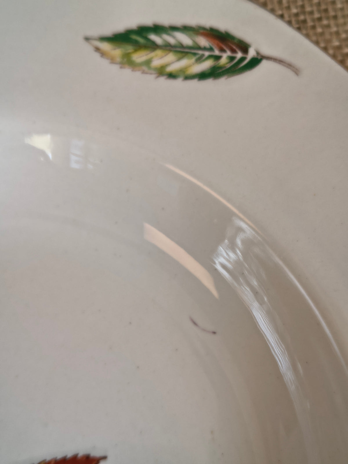 Assiettes creuses Digoin Sarreguemines Nemours décor feuilles de châtaigner
