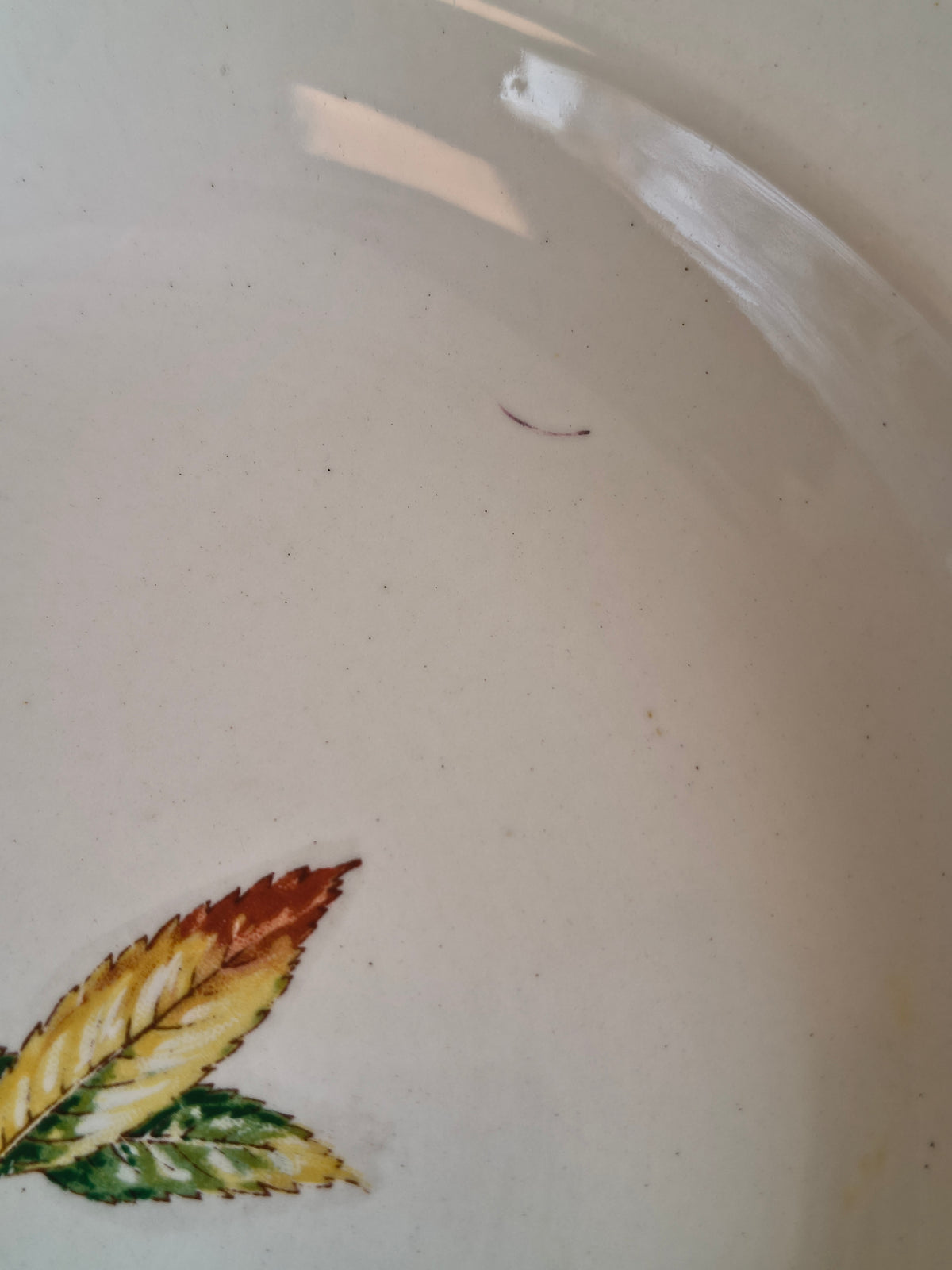 Assiettes creuses Digoin Sarreguemines Nemours décor feuilles de châtaigner