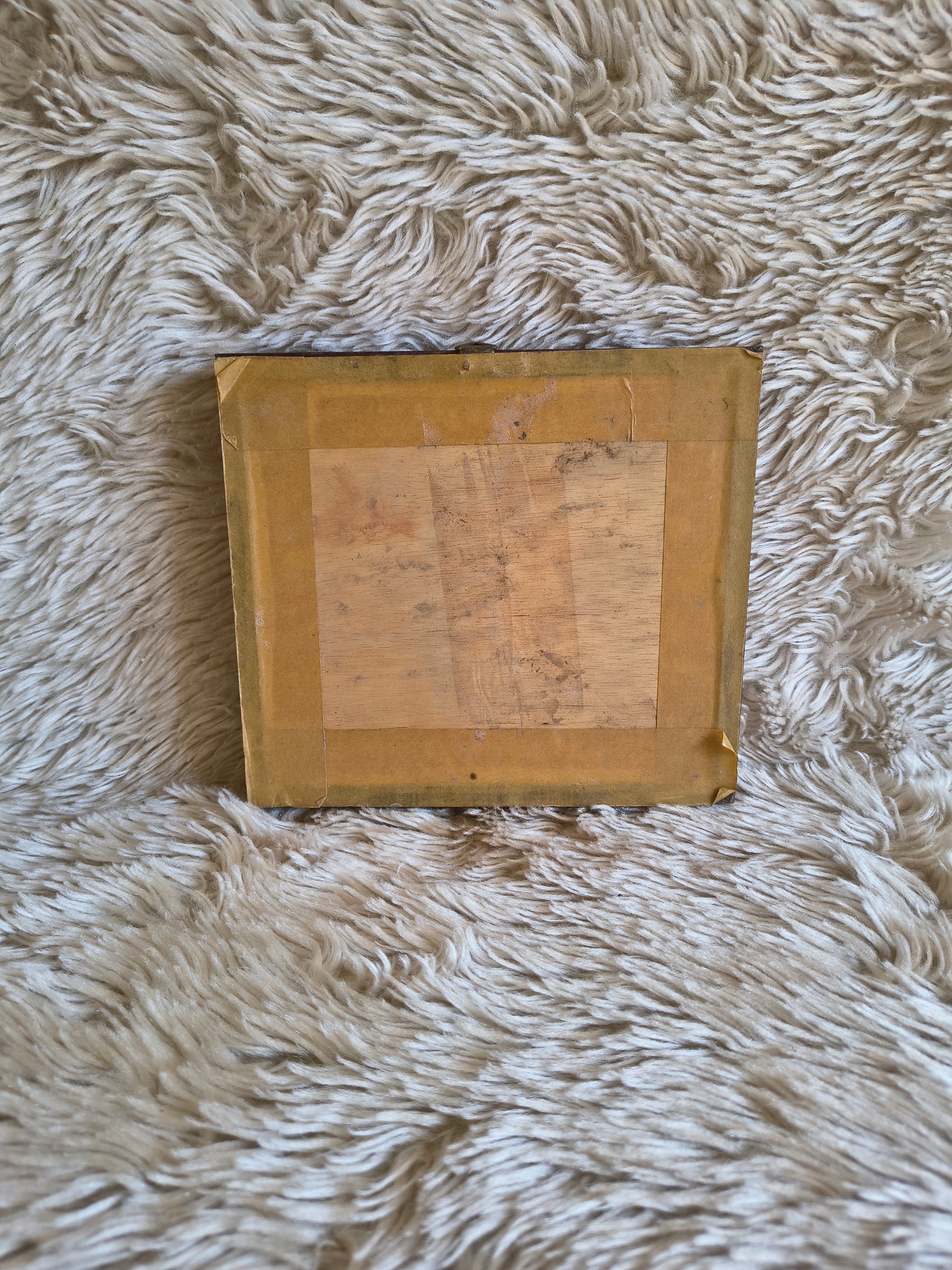 Cadre vintage entomologie papillon Morpho theseus