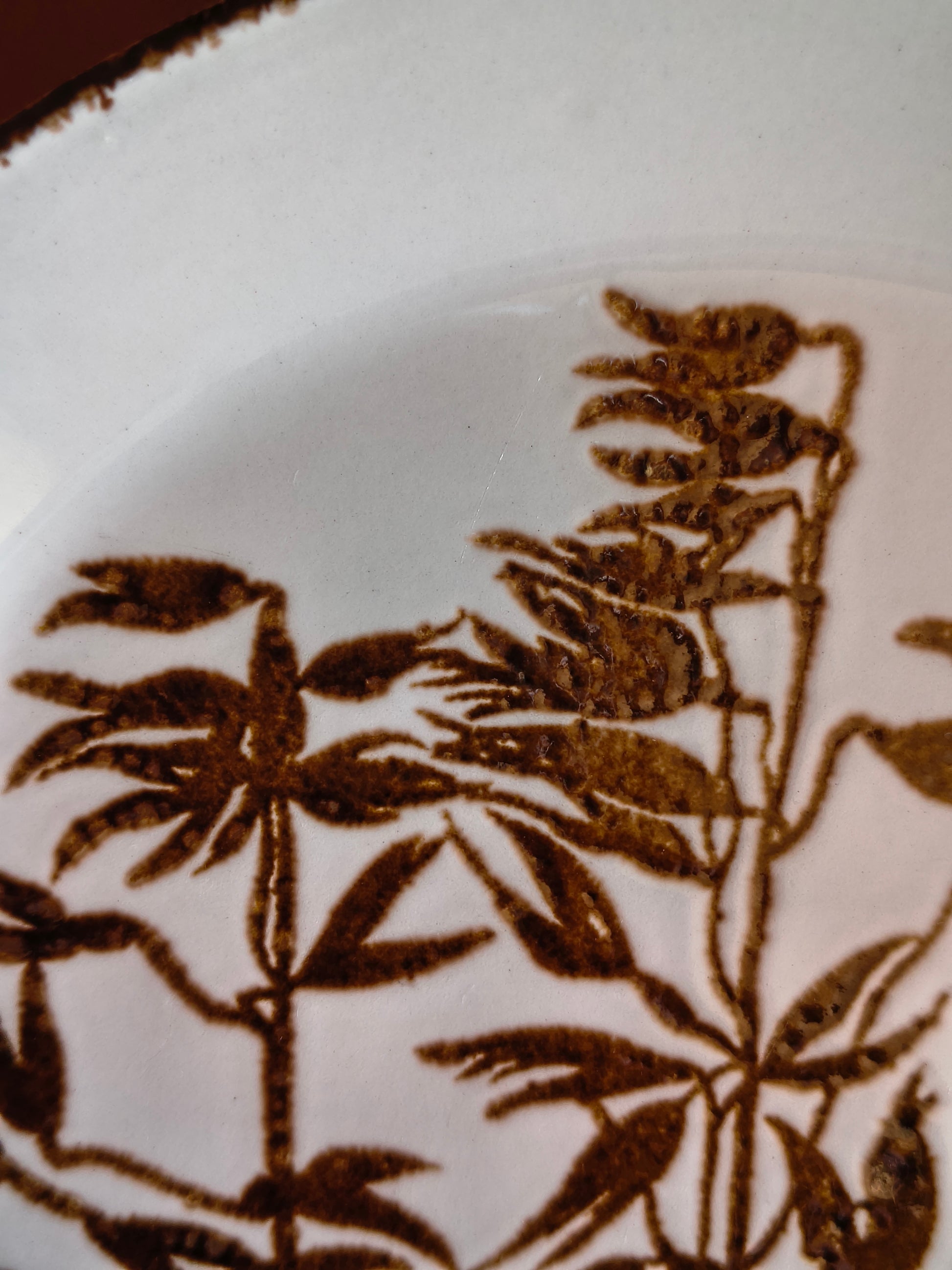 Assiettes à dessert en grès fin anglais Johnson Brothers modèle Wheat