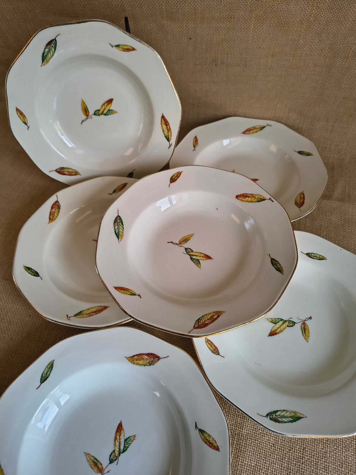 Lot de 6 assiettes creuses Digoin Nemours feuilles de châtaigner
