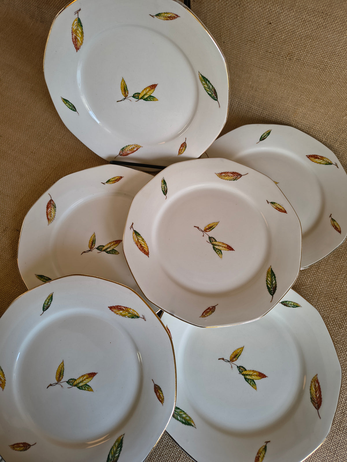 Lot de 6 assiettes plates Digoin Sarreguemines Nemours Feuilles de châtaigner