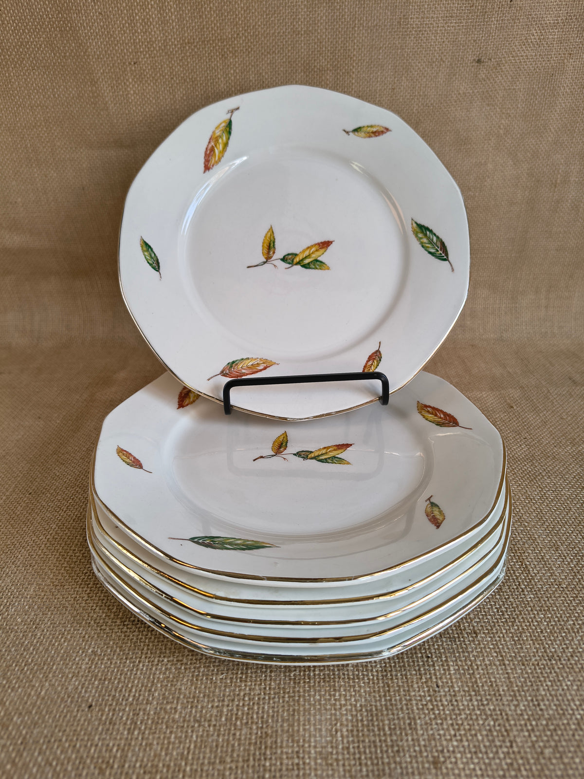 Lot de 6 assiettes plates Digoin Sarreguemines Nemours Feuilles de châtaigner
