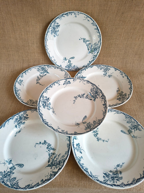 Lot de 6 assiettes plates en terre de fer Lunéville modèle Passiflore