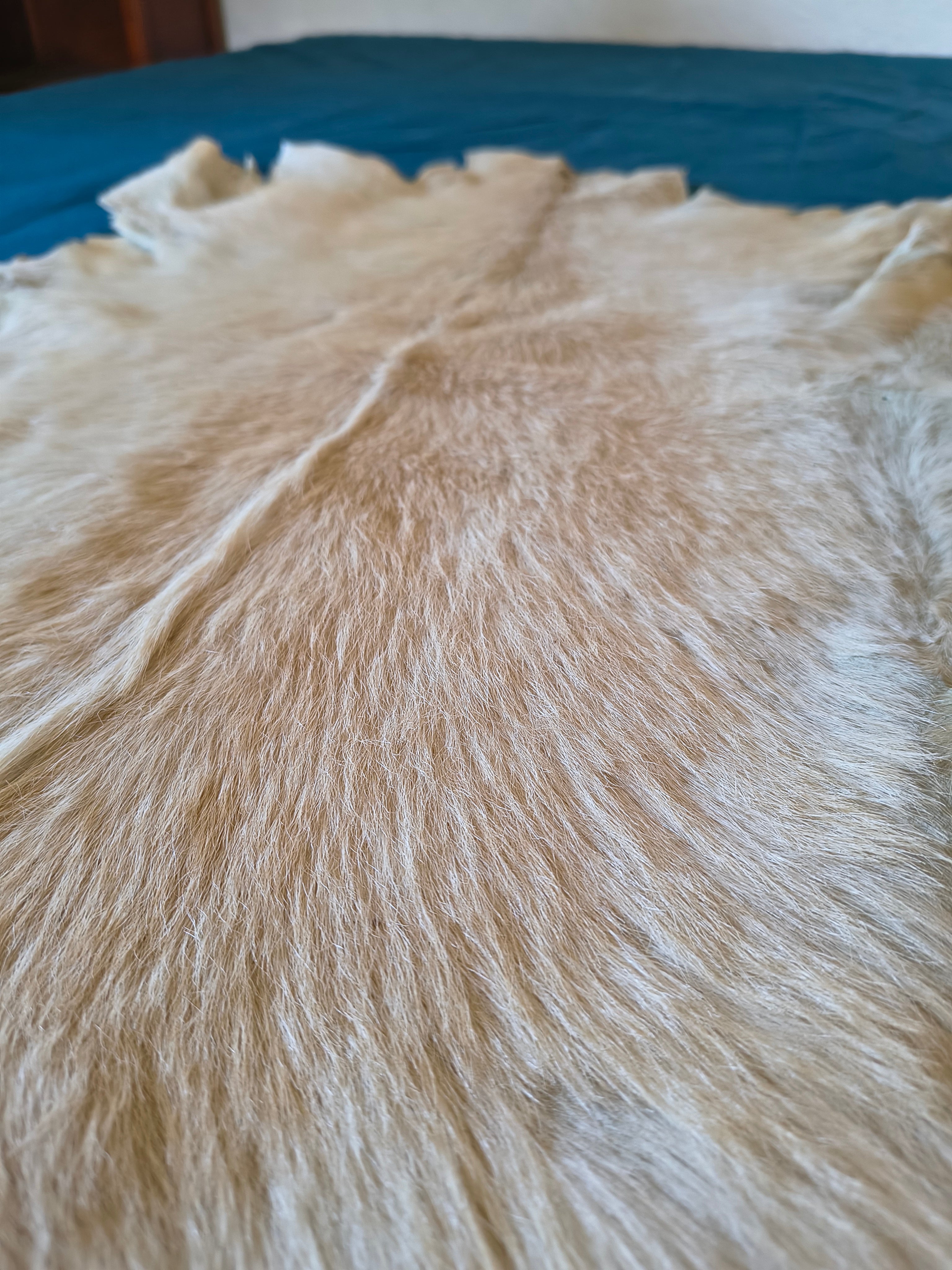 Peau de chevreau entière pour aménagement et décoration